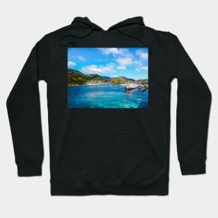 Turquoise water in a bay Hoodie